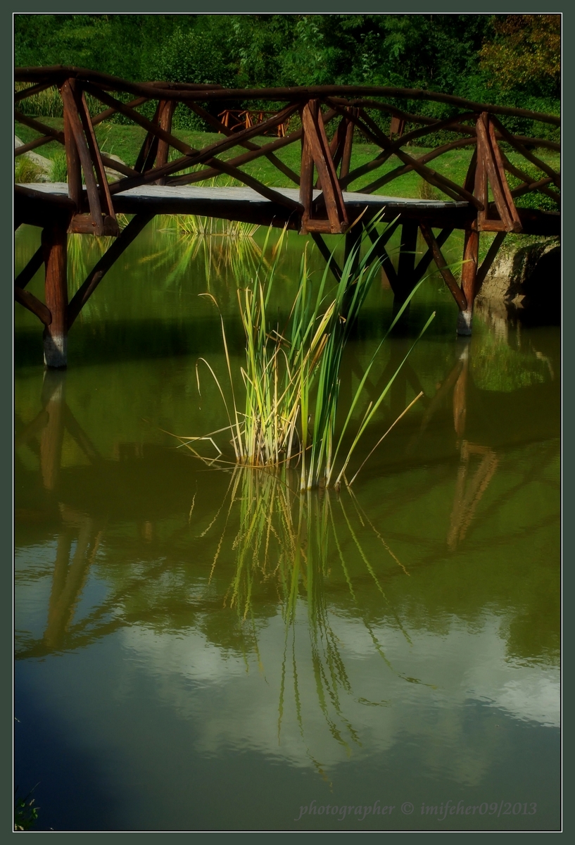 Bridge and reeds