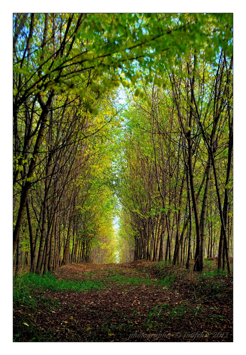 jeseň/autumn
