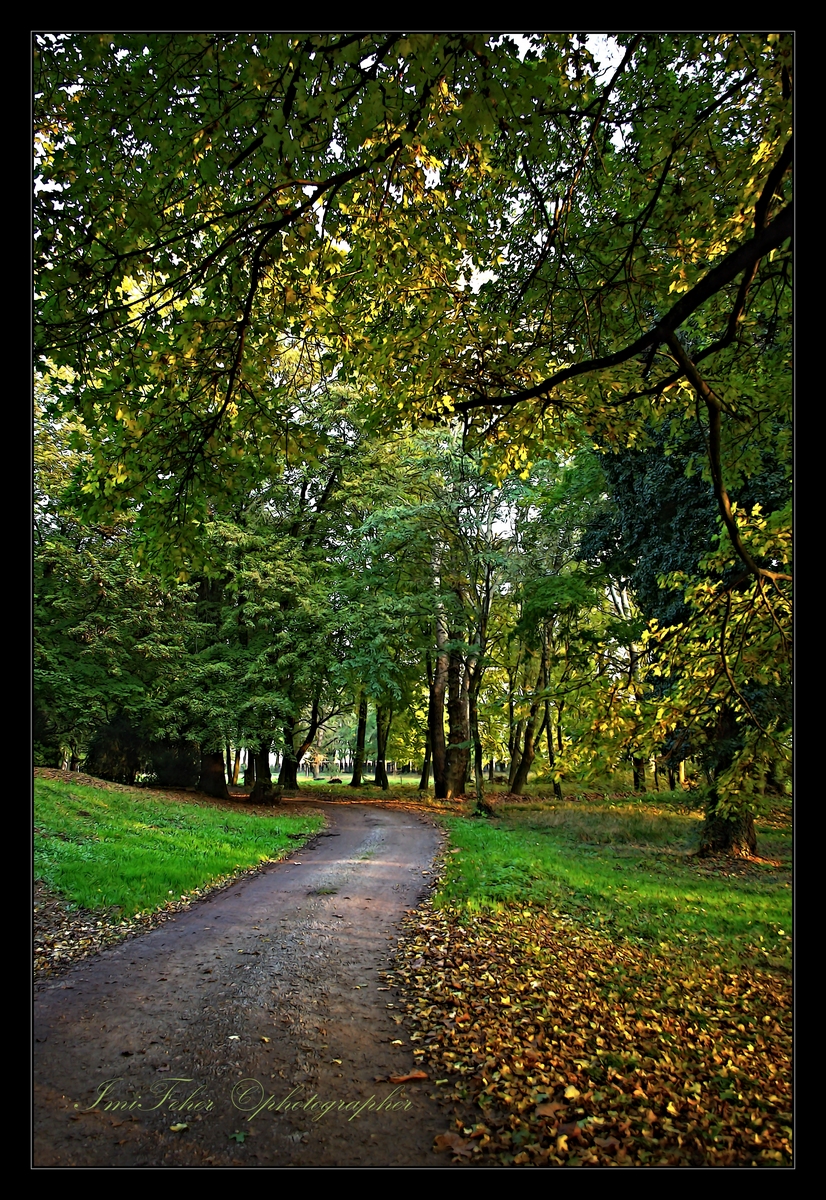 November v parku/November in the park