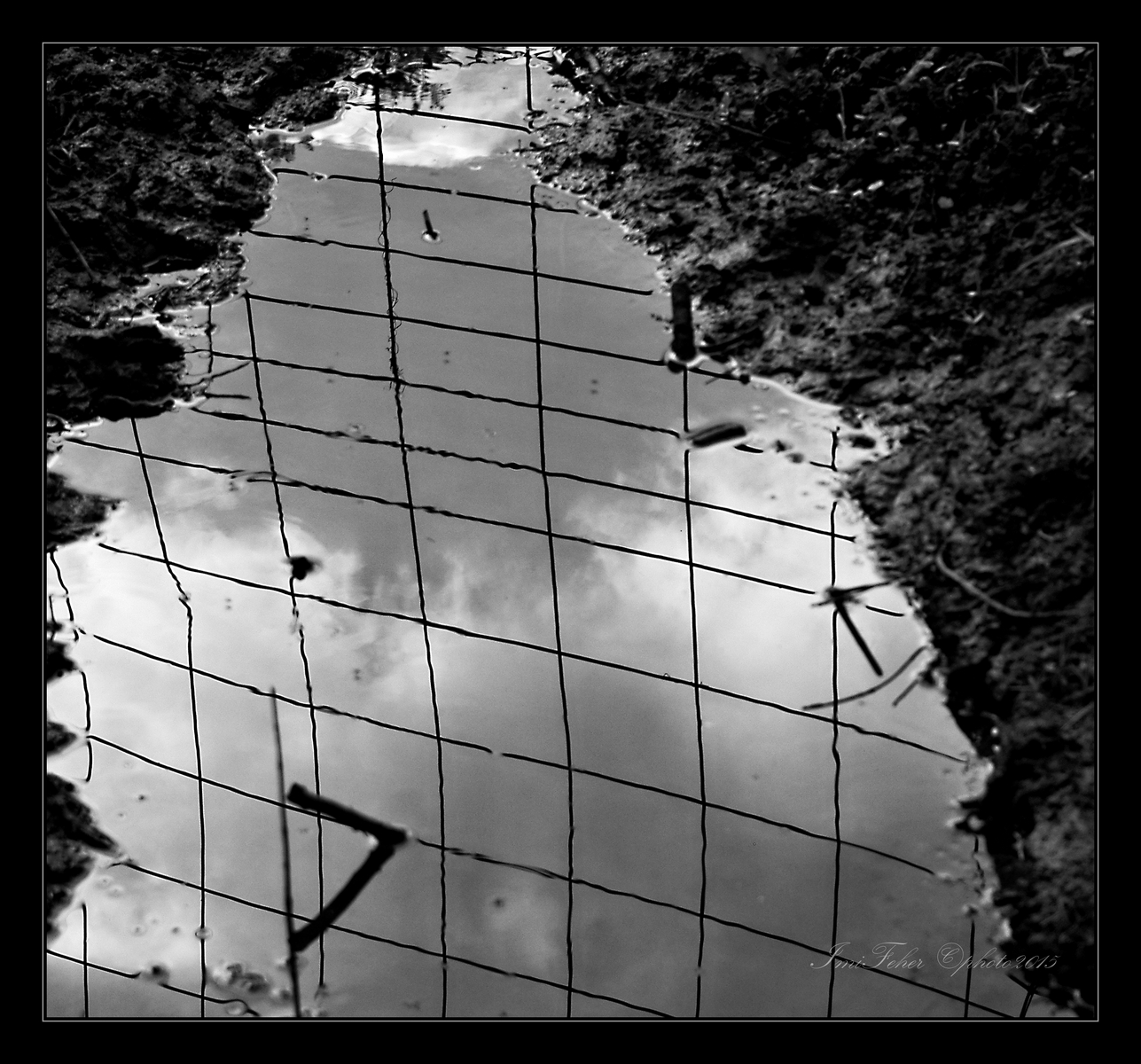 sky behind bars / obloha za mrežami